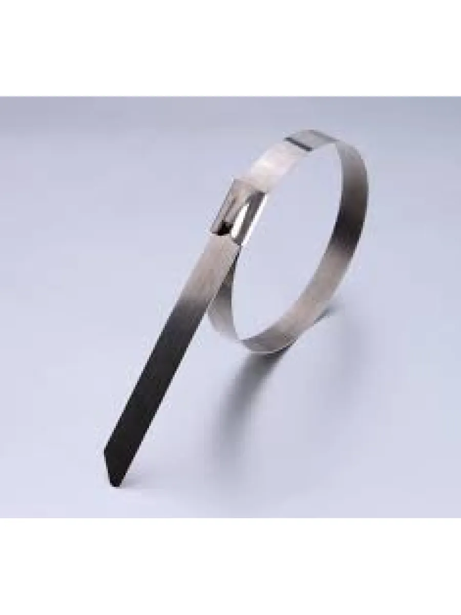 Стяжка стальная СКС  4,6х300