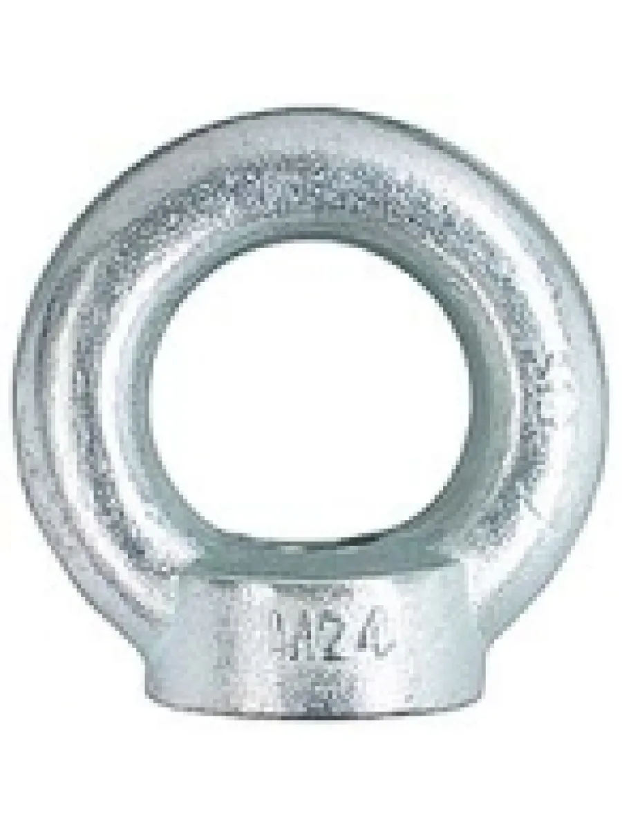Рым-гайка DIN 582 М10 FORCE LIFTING